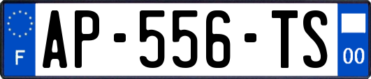 AP-556-TS