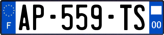 AP-559-TS