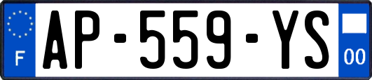 AP-559-YS
