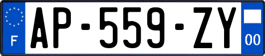 AP-559-ZY
