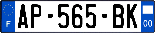 AP-565-BK