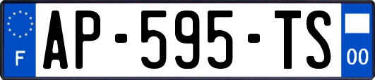 AP-595-TS