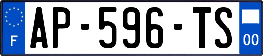 AP-596-TS