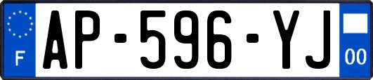 AP-596-YJ