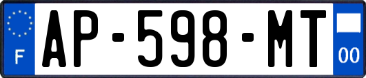 AP-598-MT