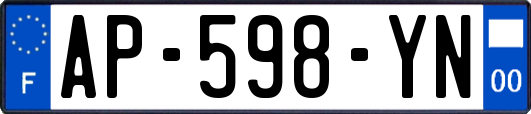 AP-598-YN