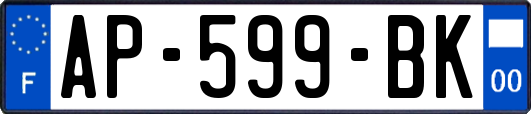 AP-599-BK