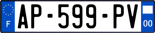 AP-599-PV