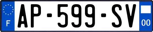 AP-599-SV