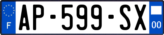 AP-599-SX