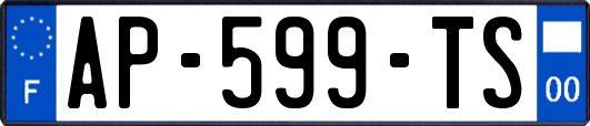 AP-599-TS