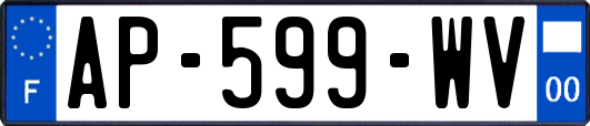 AP-599-WV