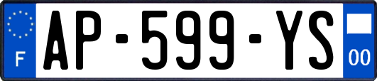 AP-599-YS