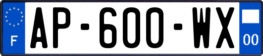 AP-600-WX