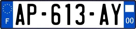 AP-613-AY