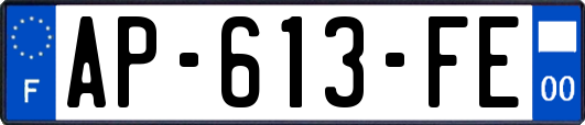 AP-613-FE