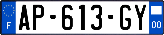AP-613-GY