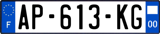 AP-613-KG