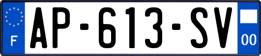 AP-613-SV