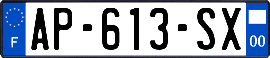 AP-613-SX