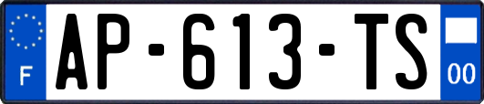 AP-613-TS