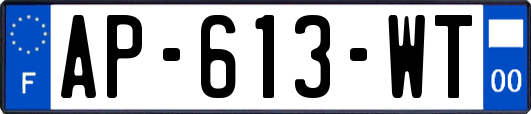 AP-613-WT