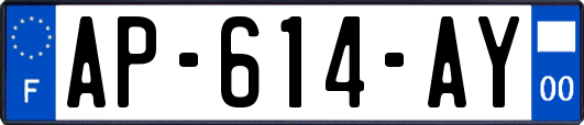 AP-614-AY