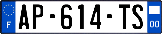 AP-614-TS