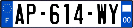 AP-614-WY