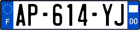 AP-614-YJ