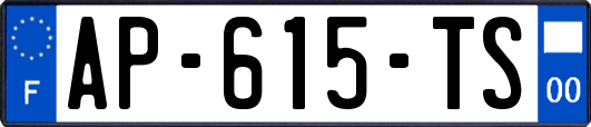 AP-615-TS