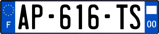 AP-616-TS