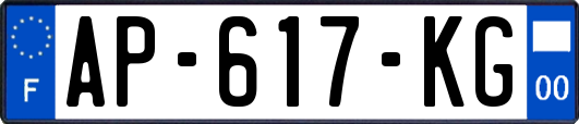 AP-617-KG