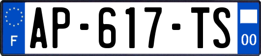 AP-617-TS