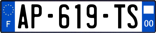 AP-619-TS