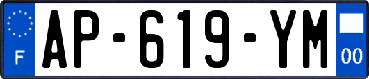 AP-619-YM