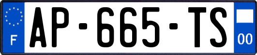 AP-665-TS