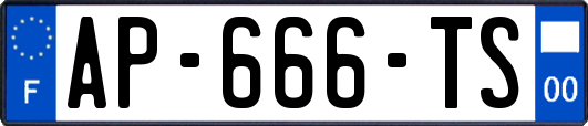 AP-666-TS
