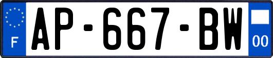 AP-667-BW