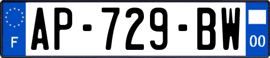 AP-729-BW