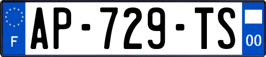 AP-729-TS