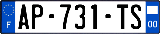 AP-731-TS
