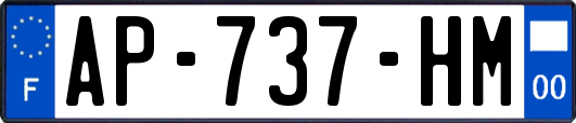 AP-737-HM