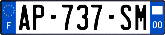AP-737-SM