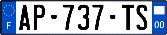 AP-737-TS