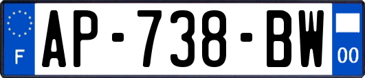 AP-738-BW