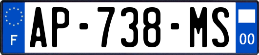 AP-738-MS
