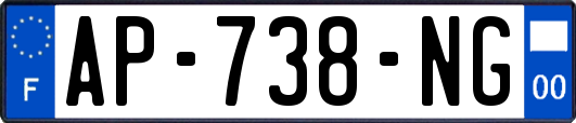 AP-738-NG