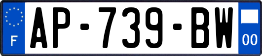 AP-739-BW