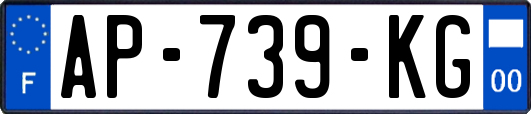 AP-739-KG